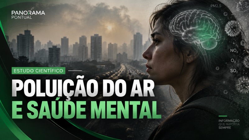 VÍDEO | Poluição do ar pode estar ligada à saúde mental?