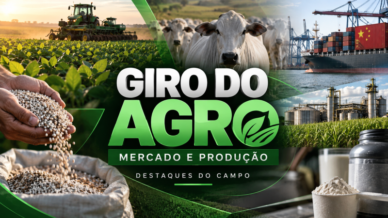 VÍDEO | Giro do Agro: fertilizantes, carne à China, etanol, febre aftosa e whey