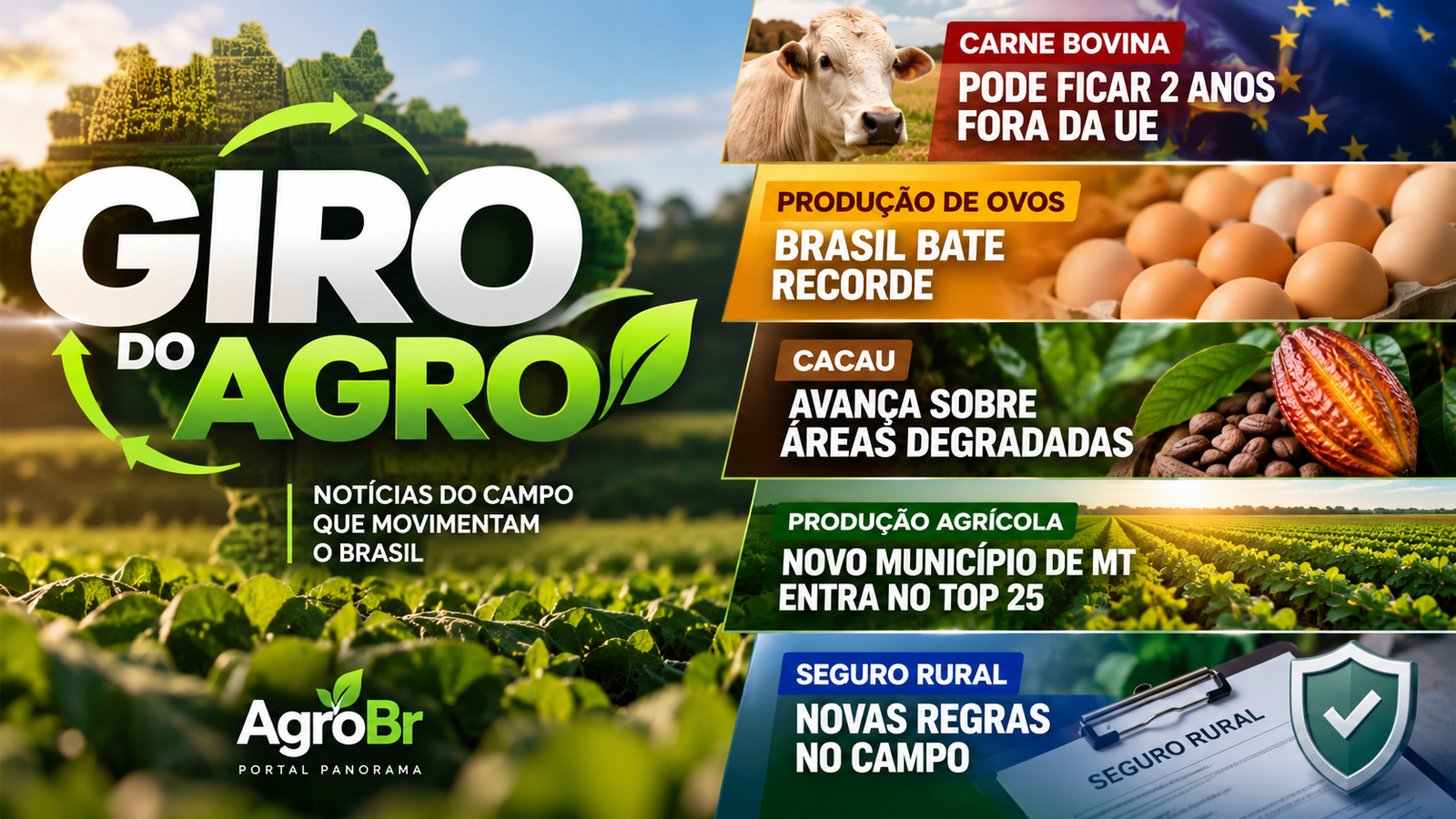 VÍDEO | Giro do Agro carne, ovos, cacau e seguro rural em destaque