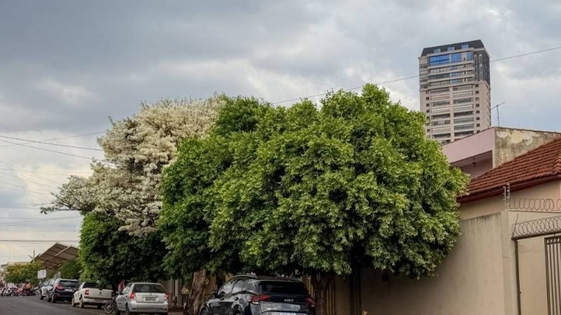 Confira a previsão do tempo para esta quarta-feira