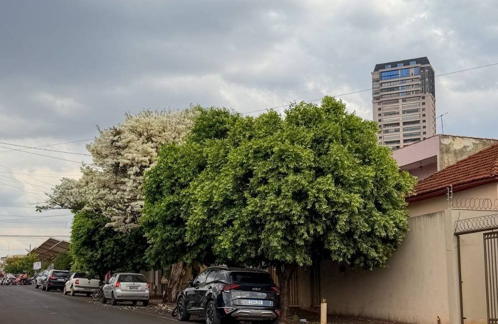 Confira a previsão do tempo para esta quarta-feira