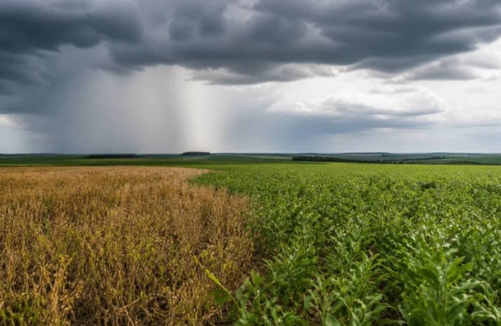 El Niño ganha força e muda cenário das lavouras no Brasil