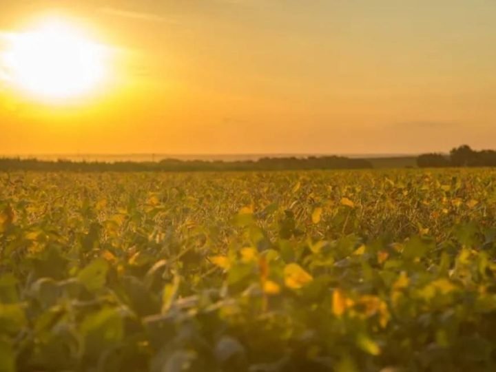 Embrapa propõe 163 medidas para proteger o campo dos riscos climáticos