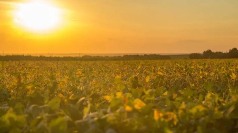 Embrapa propõe 163 medidas para proteger o campo dos riscos climáticos