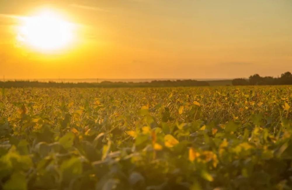 Embrapa propõe 163 medidas para proteger o campo dos riscos climáticos