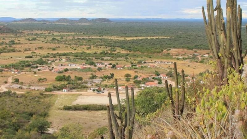 Fungos da Caatinga podem virar aliados contra doenças nas lavouras