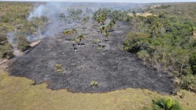 Goiás reduz área queimada, mas período crítico ainda preocupa