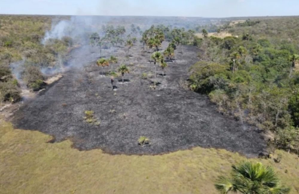 Goiás reduz área queimada, mas período crítico ainda preocupa