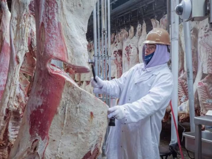Operações do ICE afetam frigoríficos e aumentam pressão sobre preço da carne nos EUA