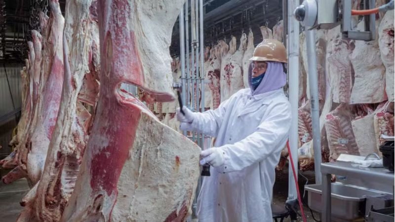 Operações do ICE afetam frigoríficos e aumentam pressão sobre preço da carne nos EUA