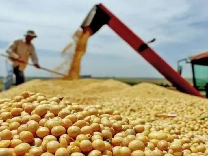 Pib Do Brasil Cresce 0,5% No Segundo Trimestre