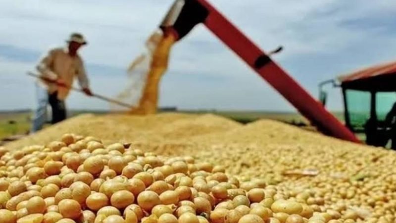 Pib Do Brasil Cresce 0,5% No Segundo Trimestre