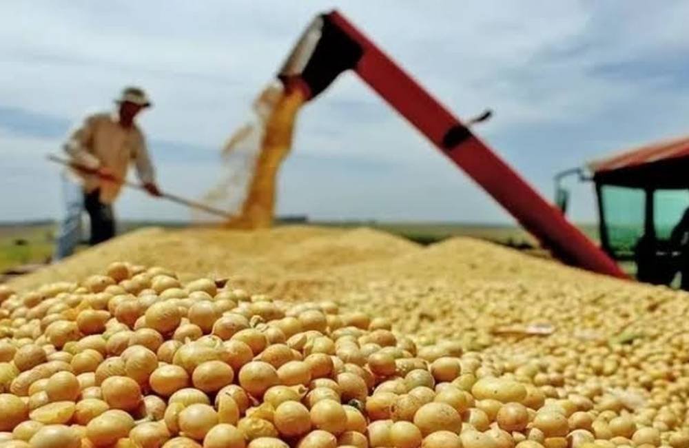 Pib Do Brasil Cresce 0,5% No Segundo Trimestre