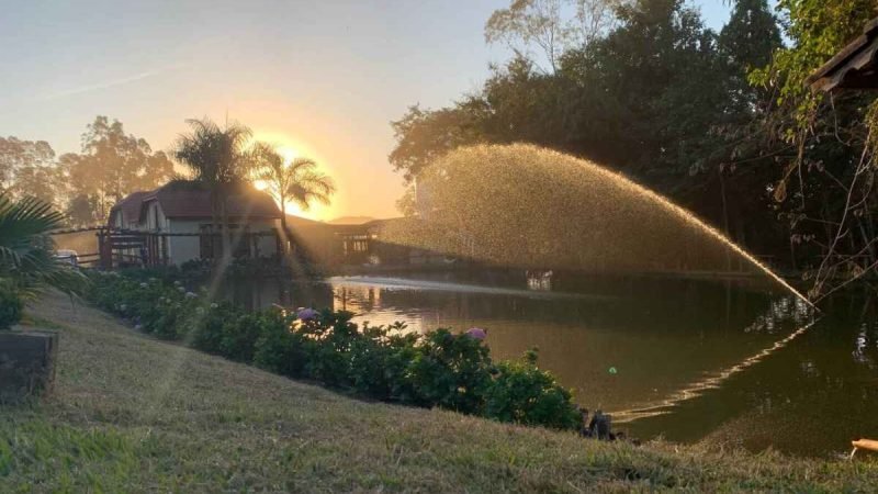 Pé de Prosa reúne lideranças do agro em Goiás para discutir sucessão, gestão e futuro das propriedades