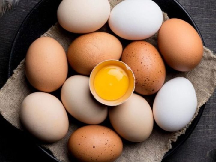 Produção de ovos para consumo bate recorde no primeiro semestre de 2026