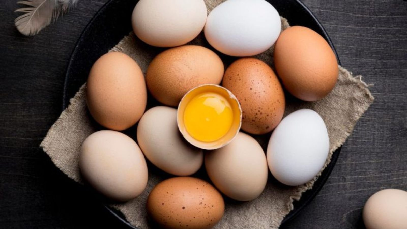 Produção de ovos para consumo bate recorde no primeiro semestre de 2026