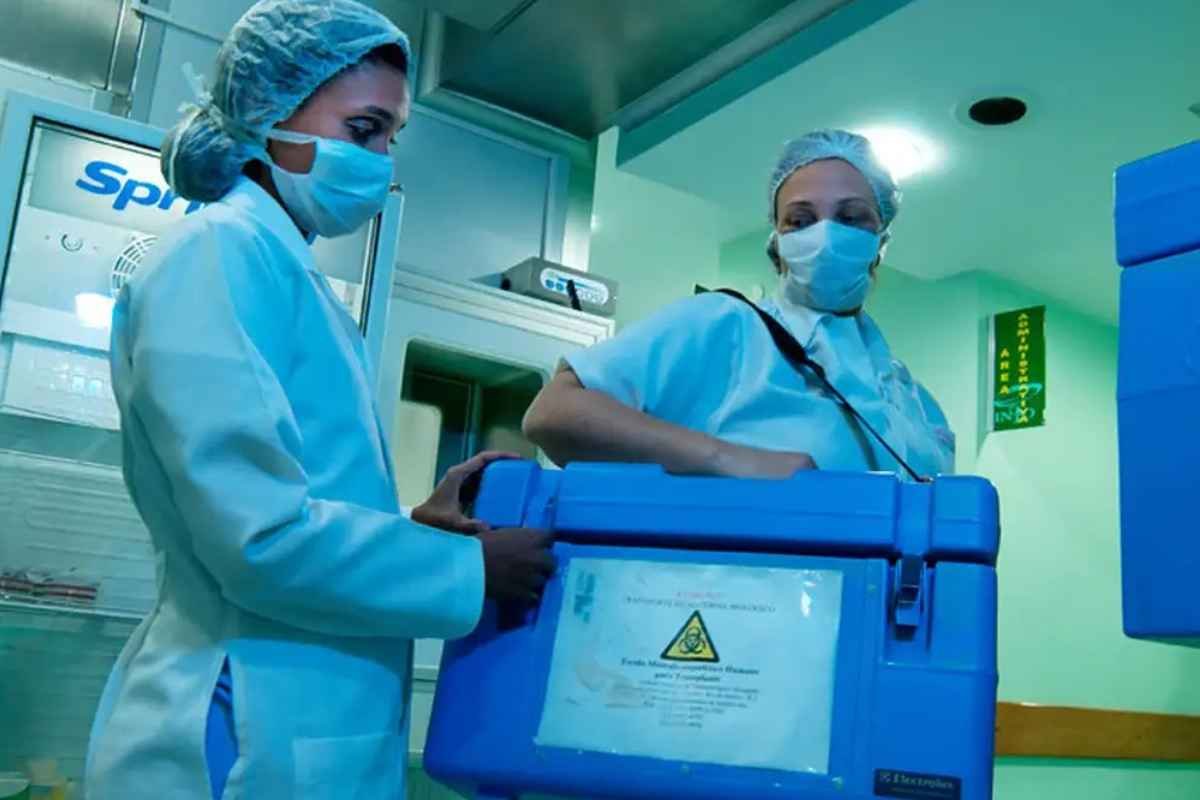 Quase metade das famílias ainda recusa doação de órgãos no Brasil