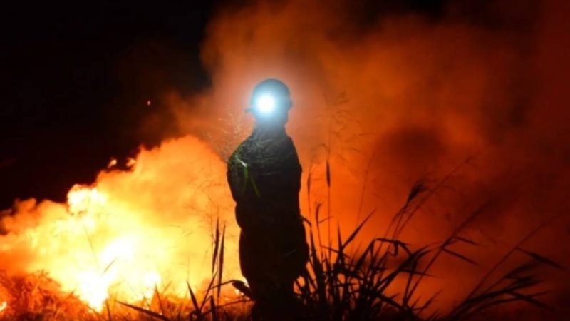 Queimada criminosa em Goiás pode render prisão, multa e indenização