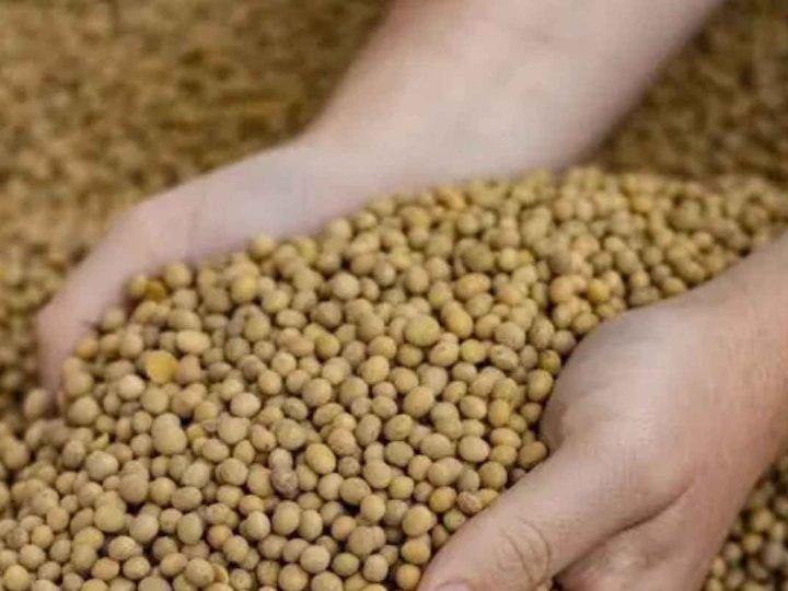 Soja sobe em Chicago nesta segunda-feira com apoio do petróleo