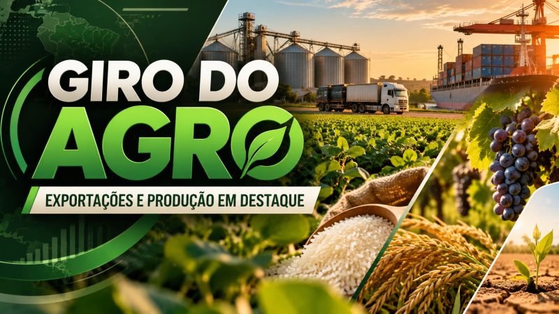 VÍDEO | Giro do Agro exportações, uva, arroz e seguro rural em destaque