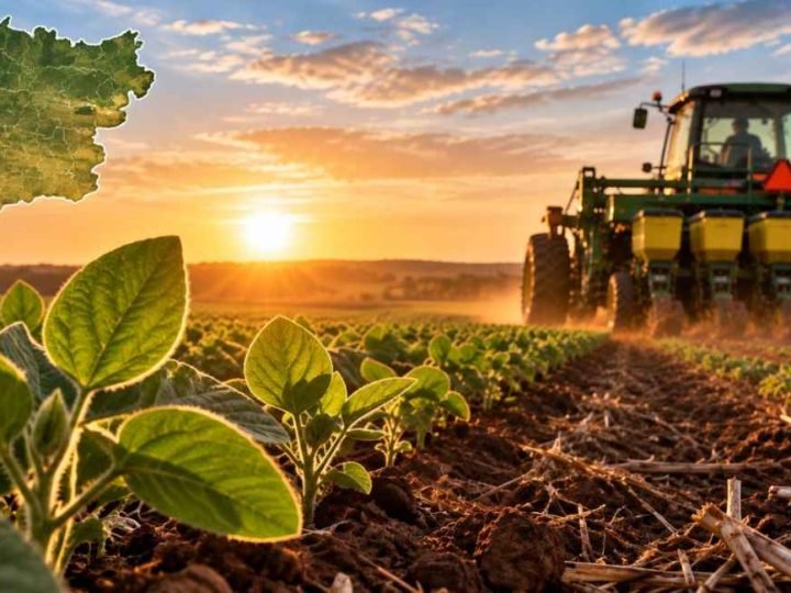 Goiás antecipa plantio da soja para 20 de setembro na safra 2026/27
