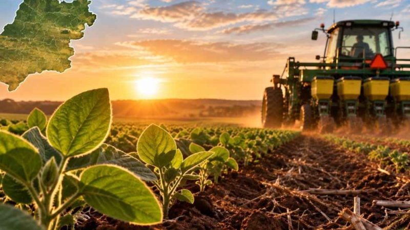 Goiás antecipa plantio da soja para 20 de setembro na safra 2026/27