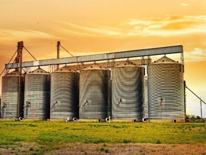 Brasil amplia oferta de ingredientes para rações e diversifica alimentação animal