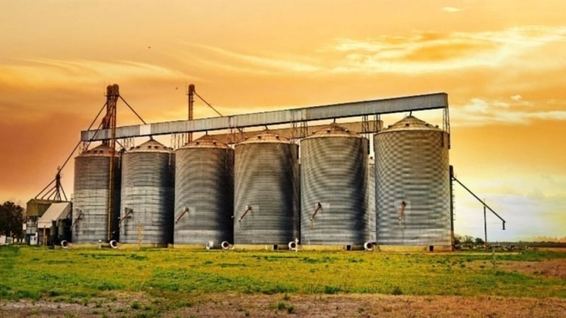 Brasil amplia oferta de ingredientes para rações e diversifica alimentação animal