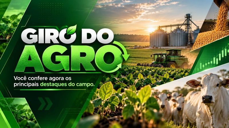 VÍDEO | Giro do Agro exportações, carne, avicultura e tilápia estão em destaque