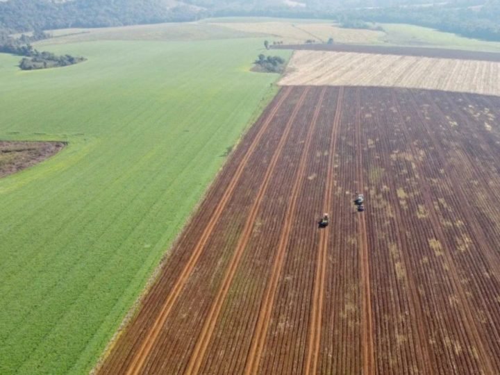 Crédito para compra de terras ganha força entre jovens agricultores