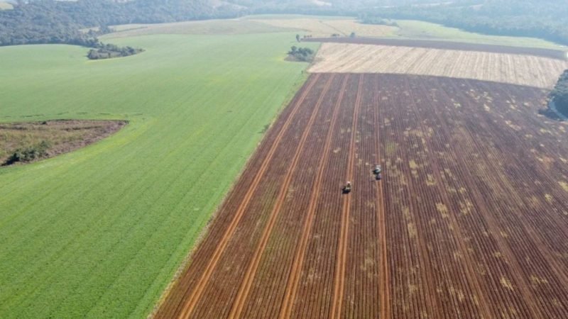 Crédito para compra de terras ganha força entre jovens agricultores