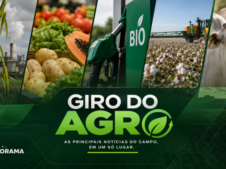 VÍDEO | Giro do Agro: chuva, biocombustíveis, IA e carne bovina