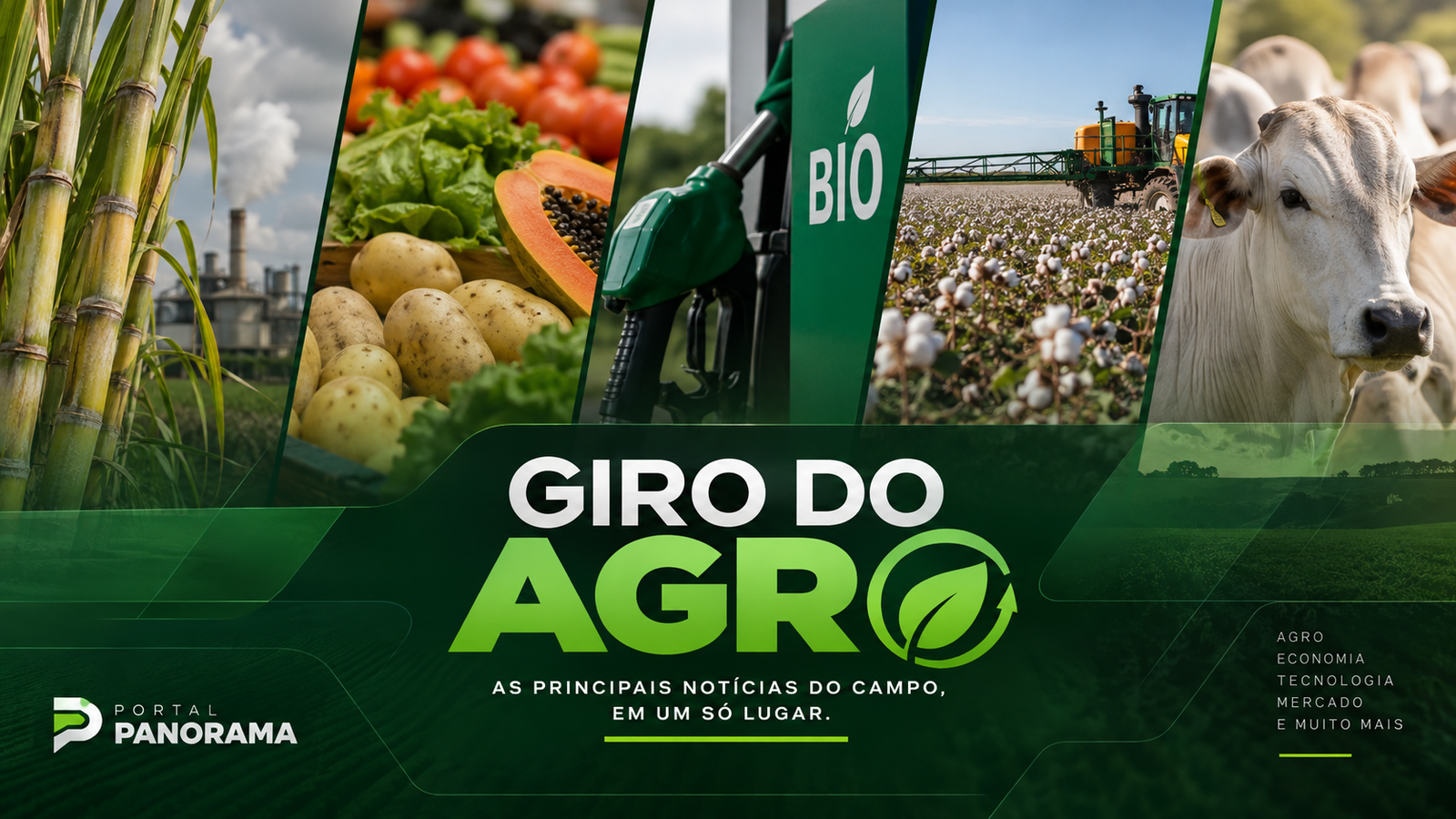 VÍDEO | Giro do Agro: chuva, biocombustíveis, IA e carne bovina