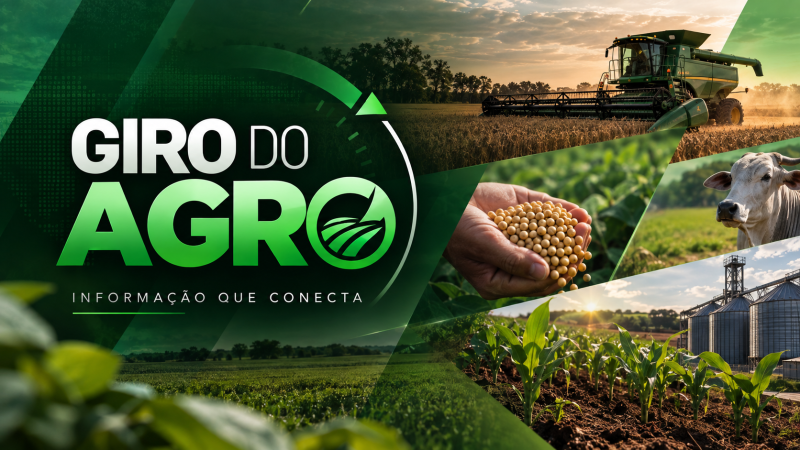 VÍDEO | Giro do Agro: tabaco avança na China, ovos batem recorde e diesel dispara