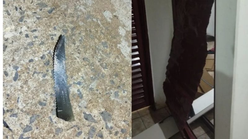 VÍDEO | Filha é presa suspeita de matar o pai a facadas em Rio Verde