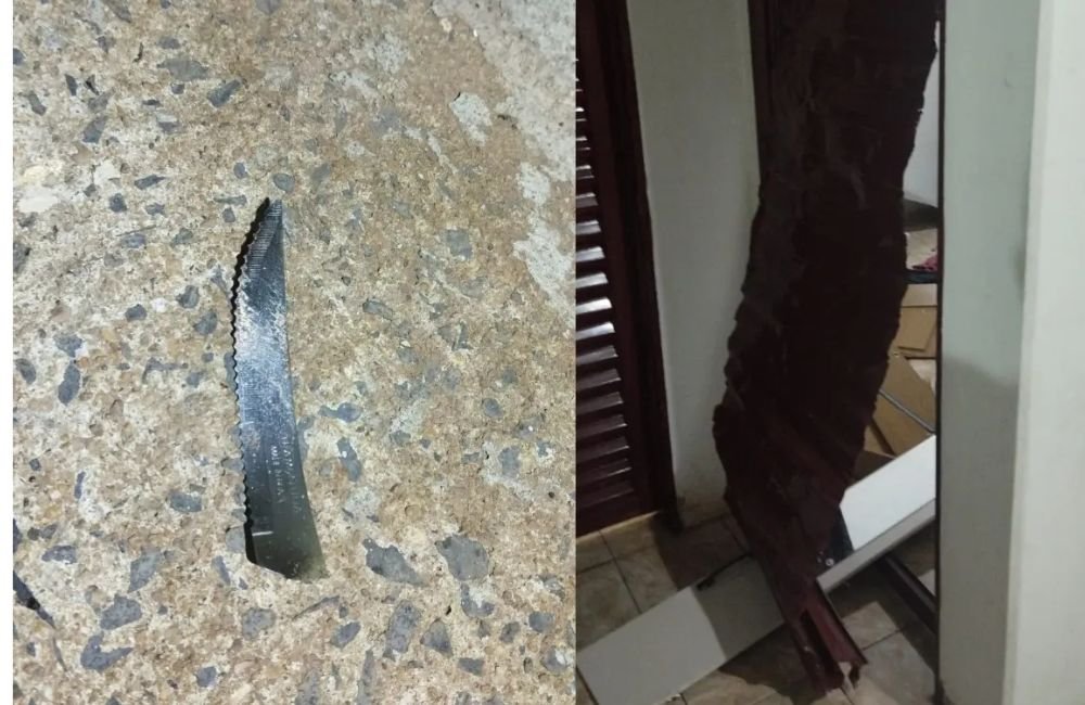 VÍDEO | Filha é presa suspeita de matar o pai a facadas em Rio Verde