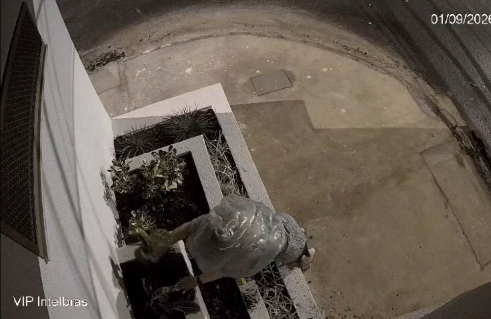 VÍDEO | Câmeras flagram furto de plantas em clínica de Jataí
