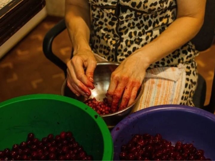 Goiás mais que dobra produção de uvas e fortalece mercado de vinhos no Cerrado