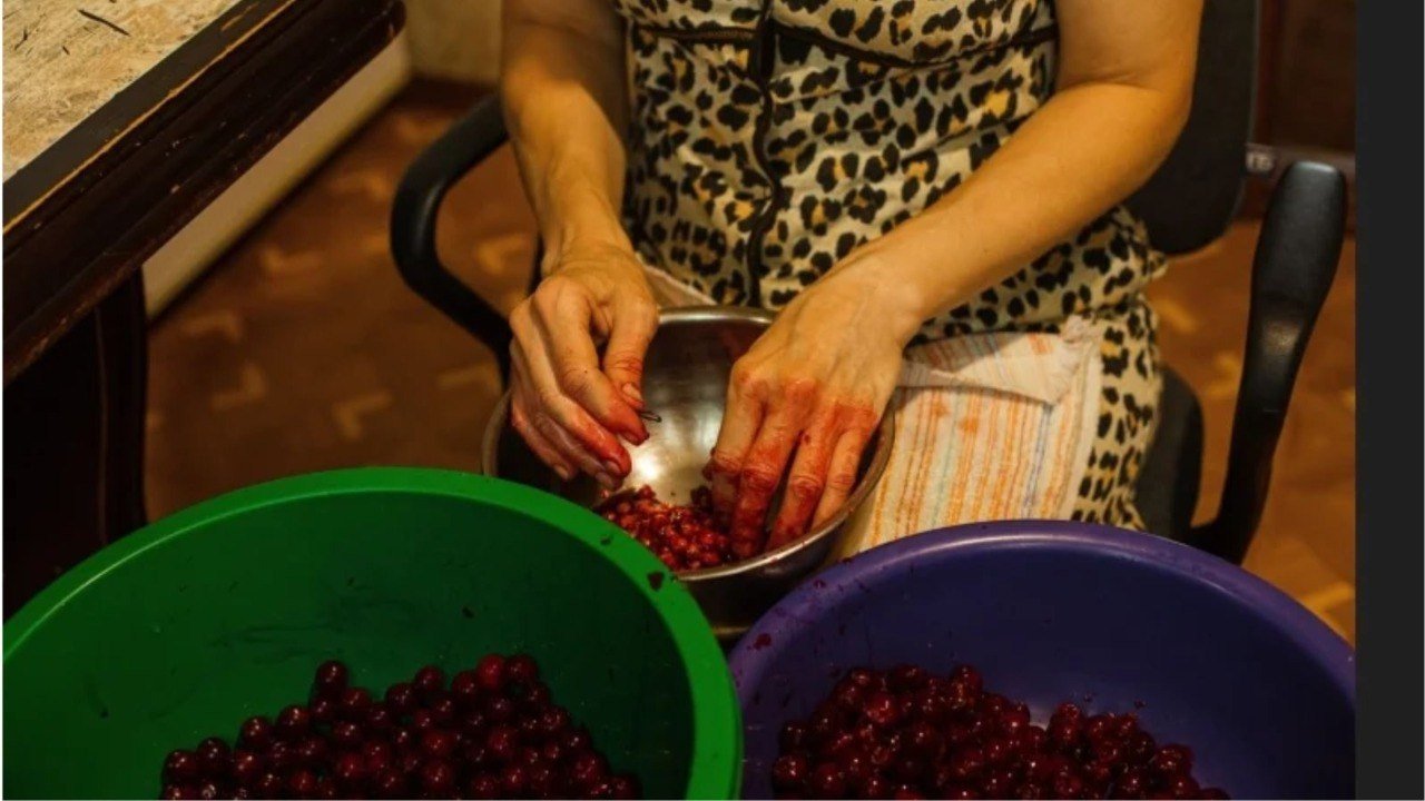Goiás mais que dobra produção de uvas e fortalece mercado de vinhos no Cerrado