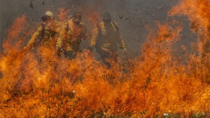 VÍDEO | Incêndio ameaça casas e avança pelo Cerrado em Posse, Goiás