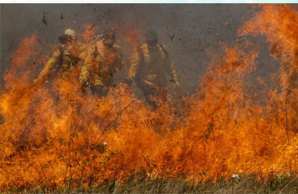 VÍDEO | Incêndio ameaça casas e avança pelo Cerrado em Posse, Goiás