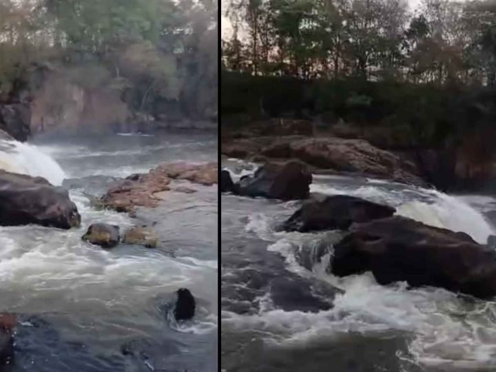 VÍDEO | Jovem desaparece após cair no Rio Claro, em Jataí; bombeiros fazem buscas