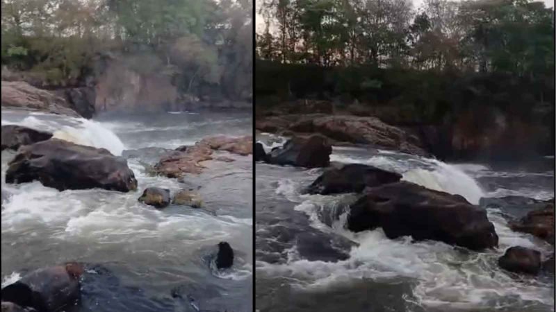 VÍDEO | Jovem desaparece após cair no Rio Claro, em Jataí; bombeiros fazem buscas