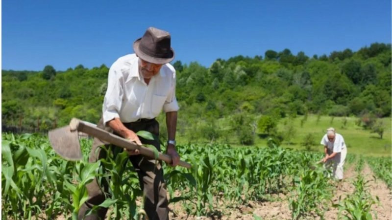 Novo procedimento permite uso de vídeos em processos de benefícios rurais do INSS em Goiás
