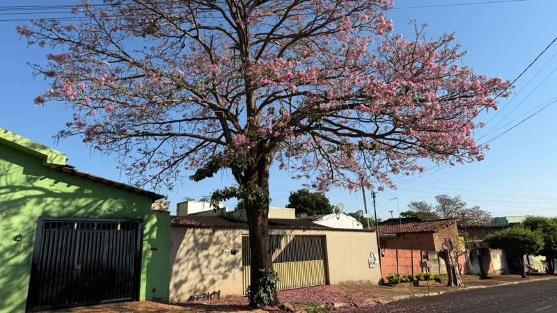 Jataí se despede do inverno nesta segunda; o que esperar do tempo antes da primavera?