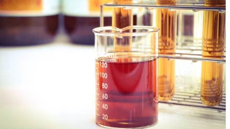 Produção global de biocombustíveis pode crescer quase 70% até 2030