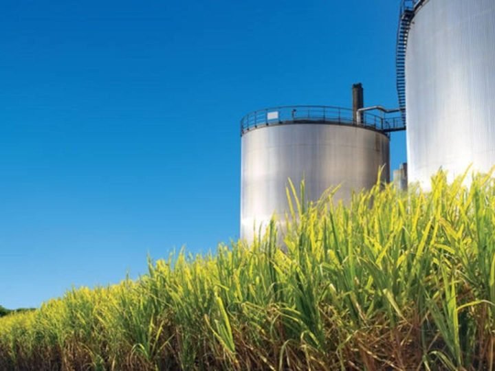 Produtores de etanol têm até 4 de outubro para habilitar créditos tributários