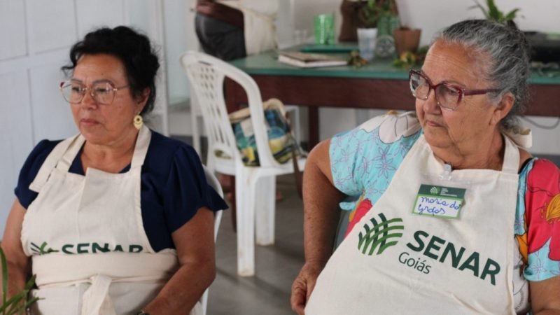 Casa do Artesão recebe curso de produção de flores tropicais em Jataí