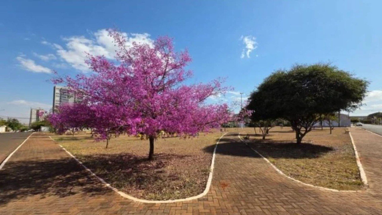 Primavera inicia em Jataí e chuva volta a ganhar força, mas El Niño pode atrasar período chuvoso