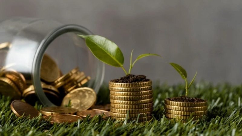 Crédito rural exige planejamento para evitar dívidas no campo